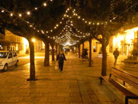 PIAZZA FONTANA ILLUMINATA CON LE LUCI DI NATALE
